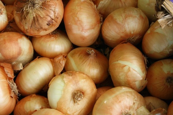 Кракен ссылка onion