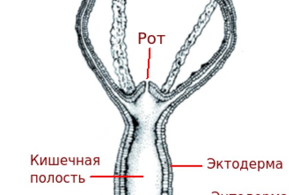 Kraken для россиян